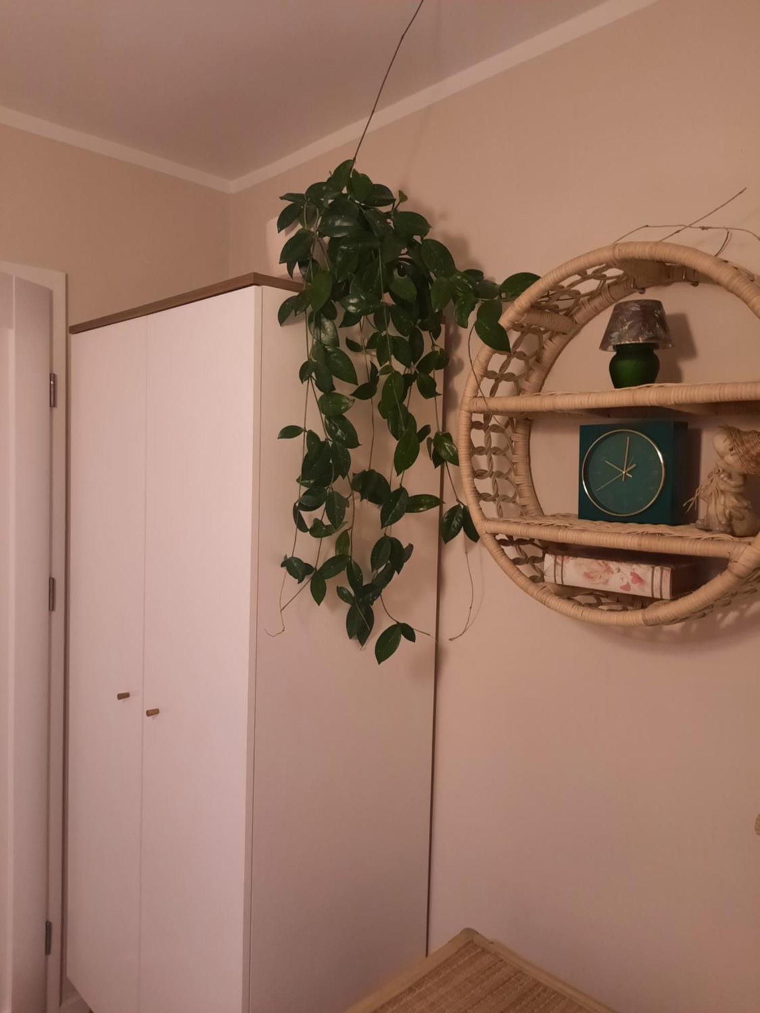 Apartament Jak w Domu Zamosc  Bagian luar foto