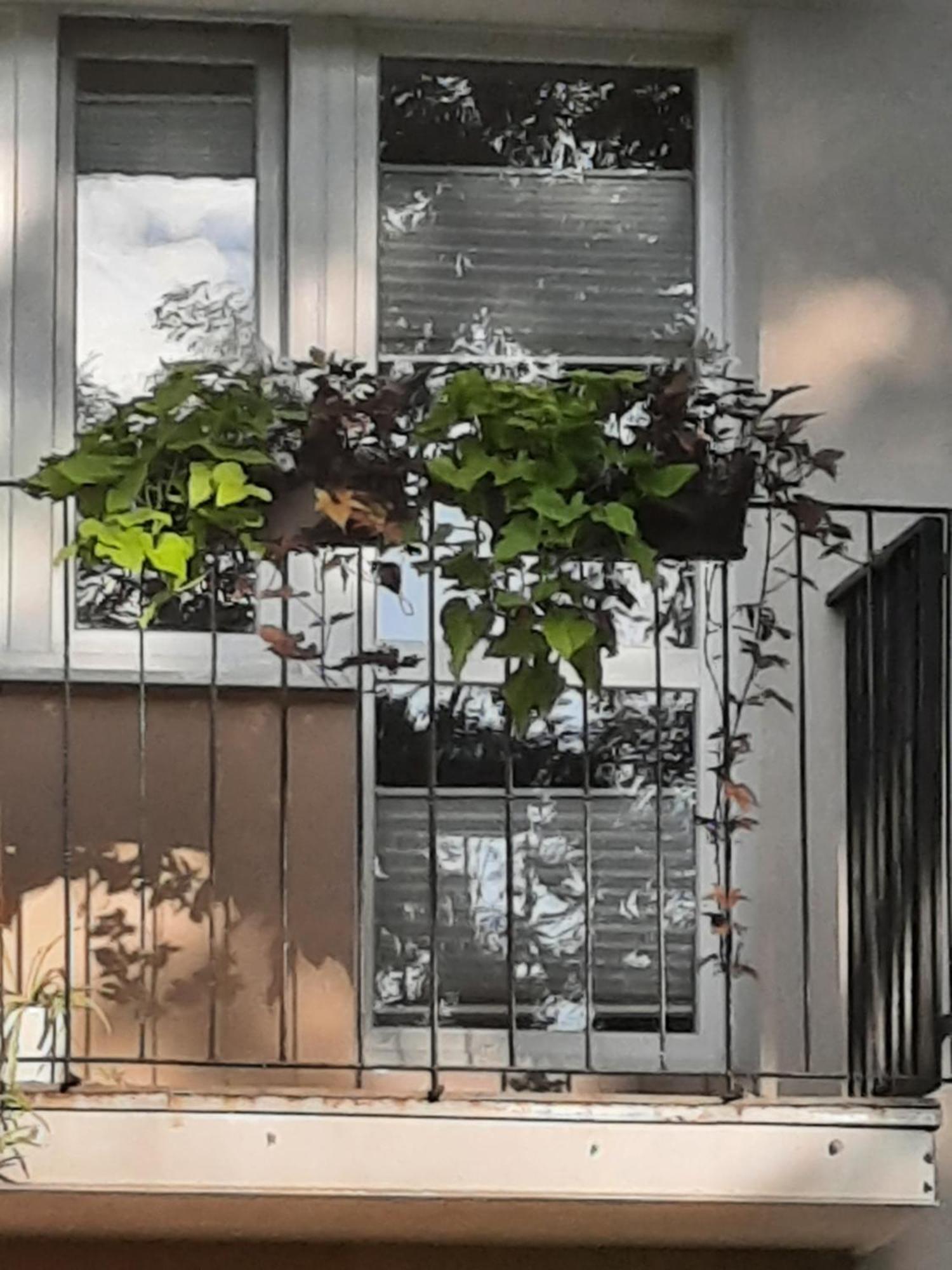Apartament Jak w Domu Zamosc  Bagian luar foto