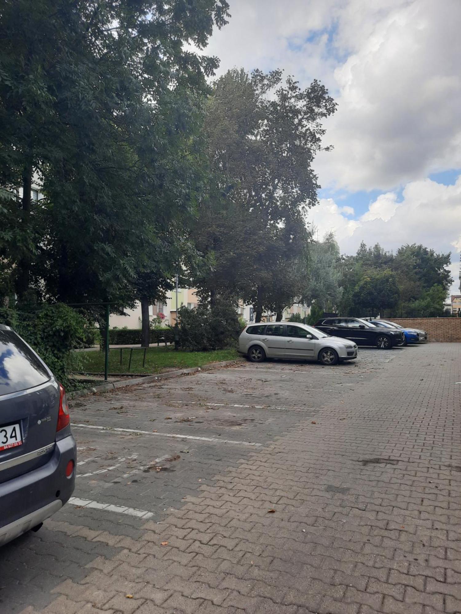 Apartament Jak w Domu Zamosc  Bagian luar foto