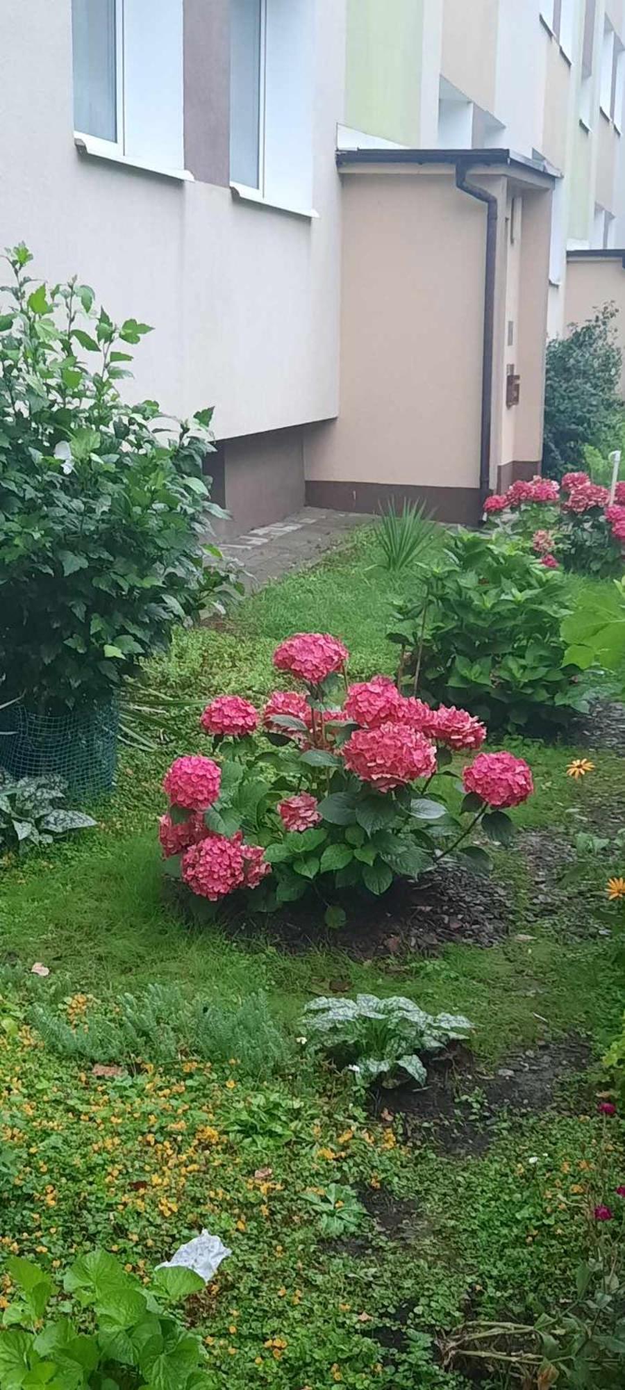 Apartament Jak w Domu Zamosc  Bagian luar foto